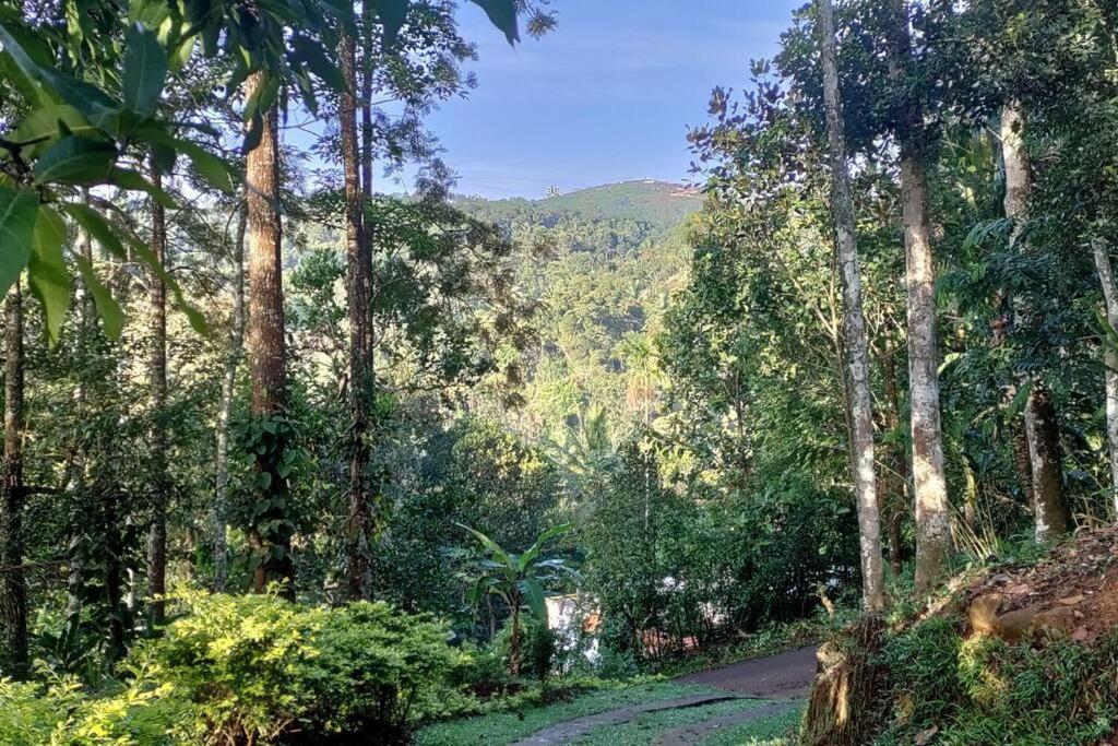 Coffee Camp Home Stay With Tree House Kattappana Esterno foto