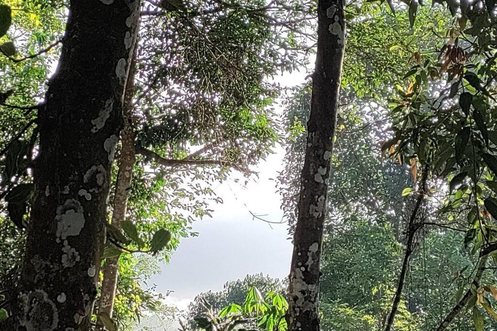 Coffee Camp Home Stay With Tree House Kattappana Esterno foto