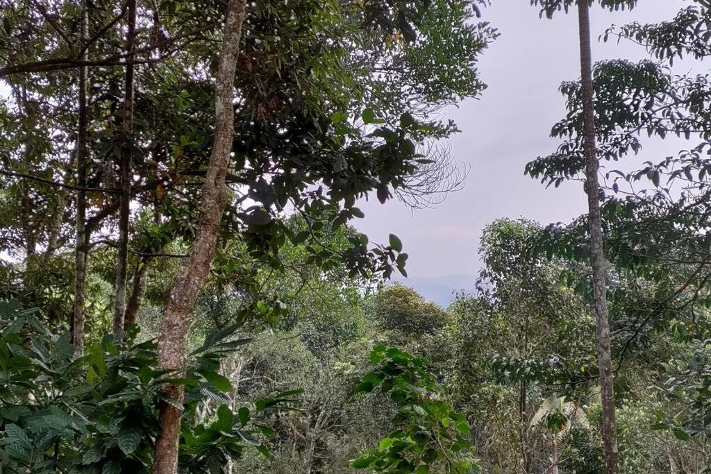 Coffee Camp Home Stay With Tree House Kattappana Esterno foto