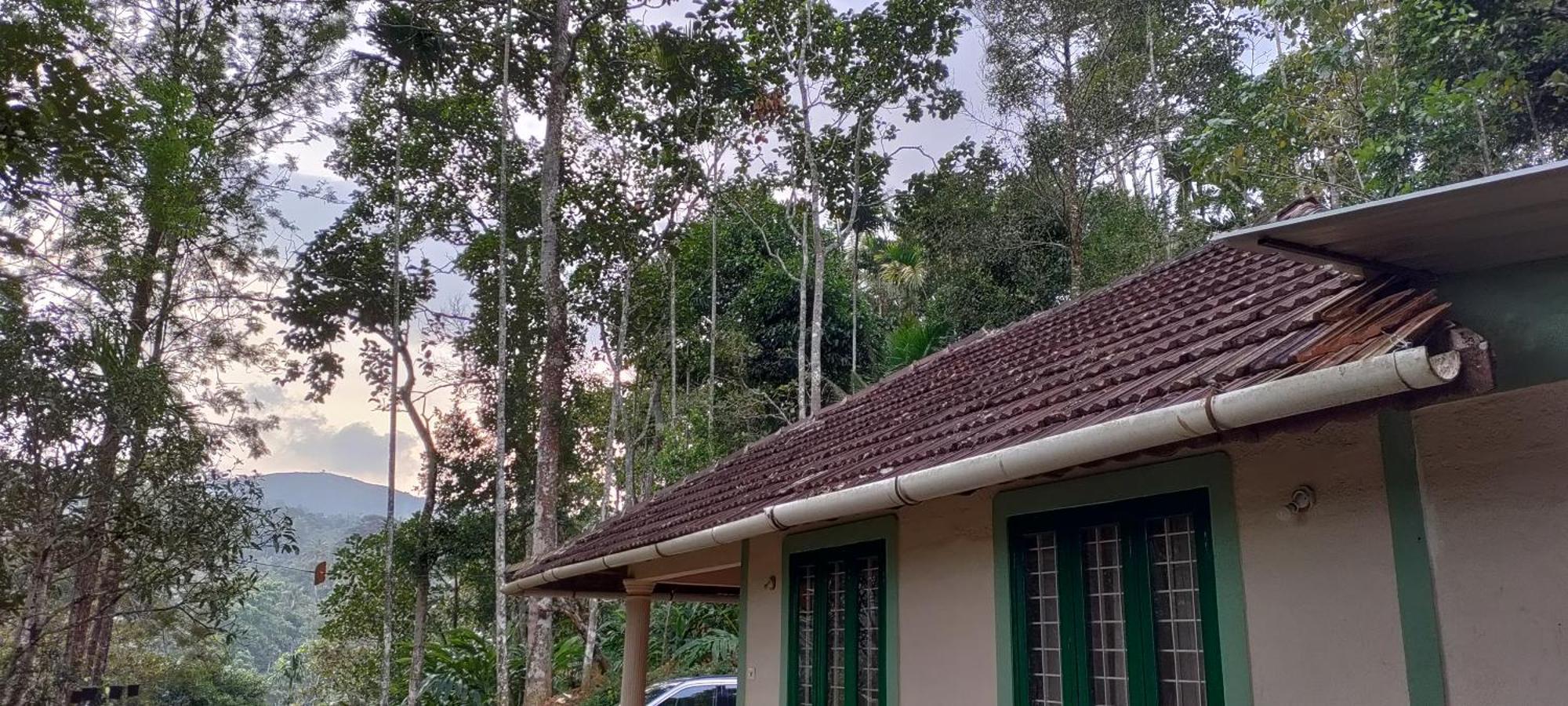 Coffee Camp Home Stay With Tree House Kattappana Esterno foto