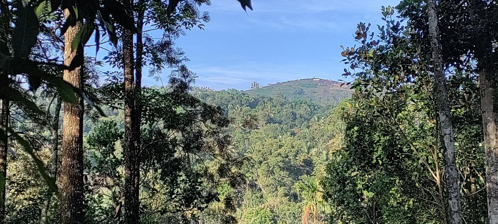 Coffee Camp Home Stay With Tree House Kattappana Esterno foto