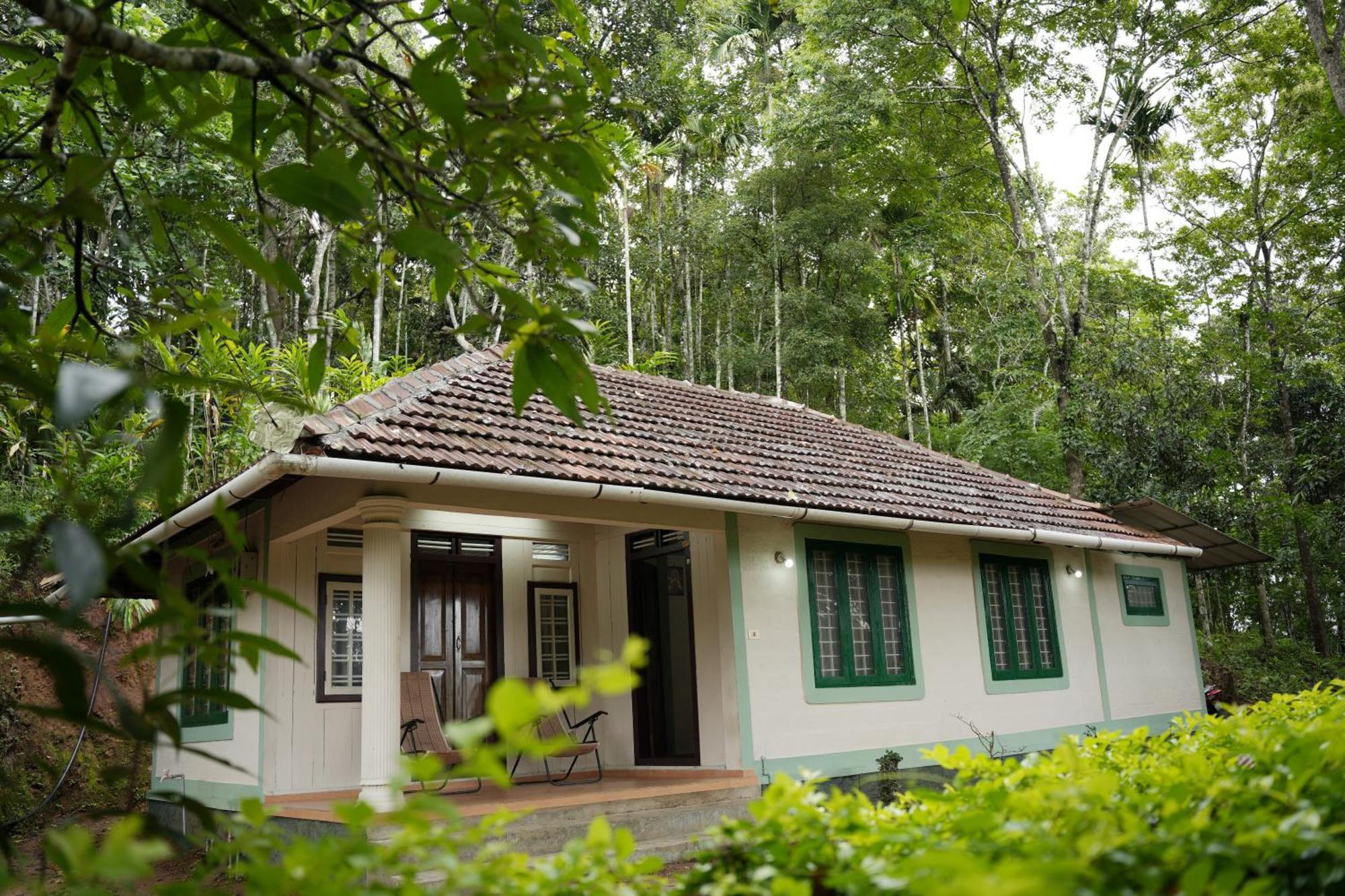 Coffee Camp Home Stay With Tree House Kattappana Esterno foto