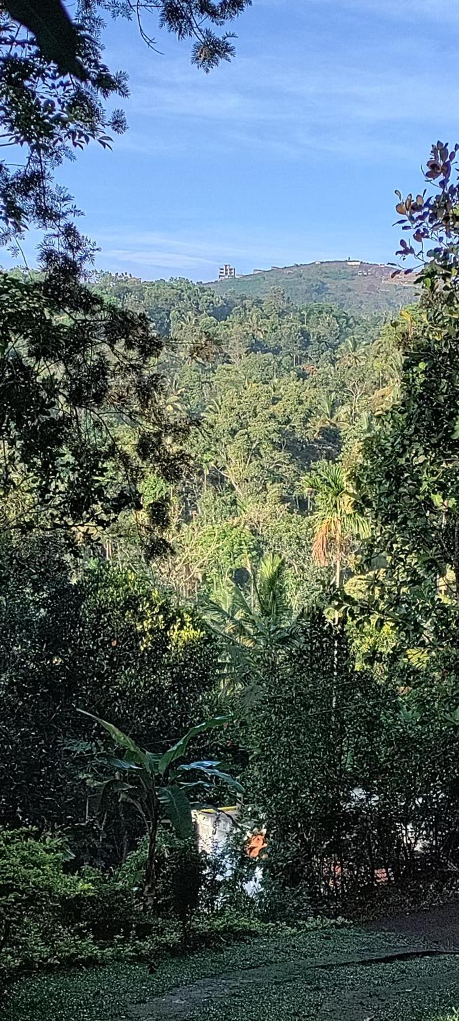 Coffee Camp Home Stay With Tree House Kattappana Esterno foto