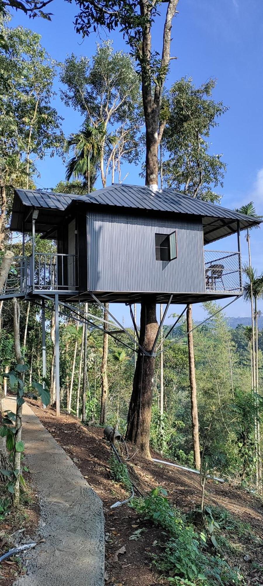 Coffee Camp Home Stay With Tree House Kattappana Esterno foto