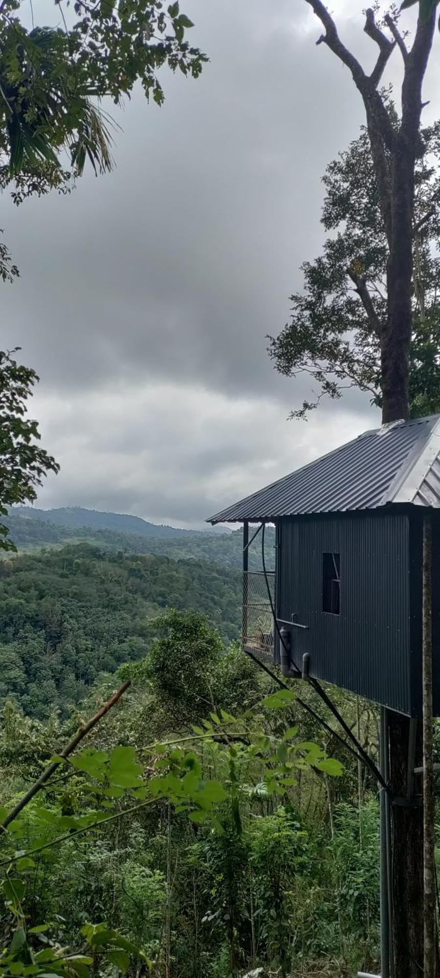 Coffee Camp Home Stay With Tree House Kattappana Esterno foto